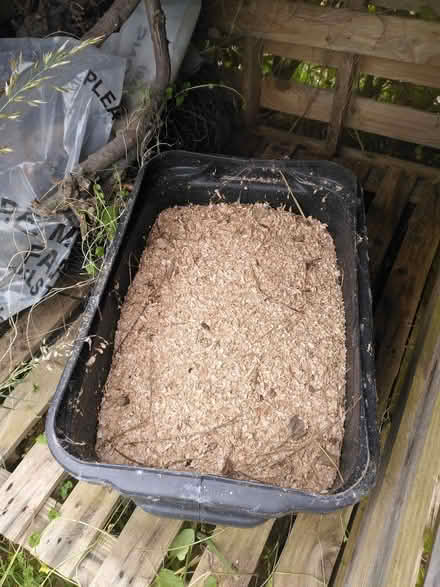 Photo of free Big box of sawdust (Northchurch HP4) #1