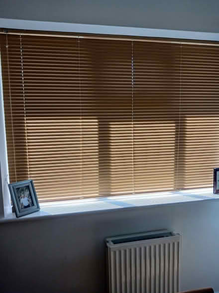 Photo of free Venetian Blind (Segensworth East PO15) #2