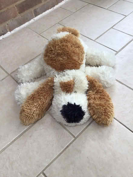 Photo of free Furry toy dog (Vinters Park) #2