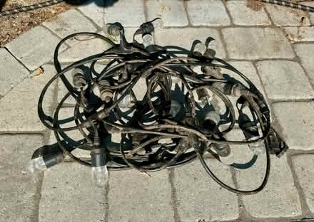 Photo of free Outdoor string lights (Wallingford) #1