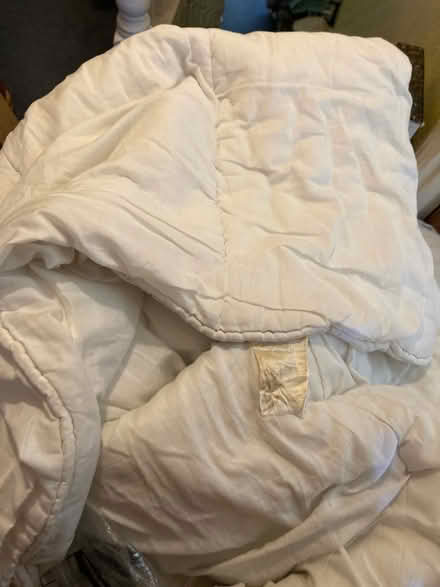 Photo of free 1 single 10.5 tog duvet (E5 UpperClapton) #1