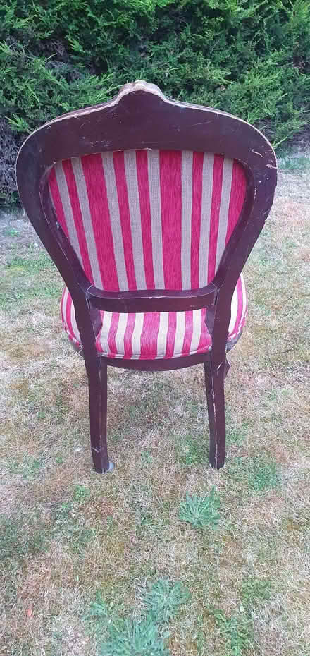 Photo of free Louis style chairs (Sunningdale SL5) #2