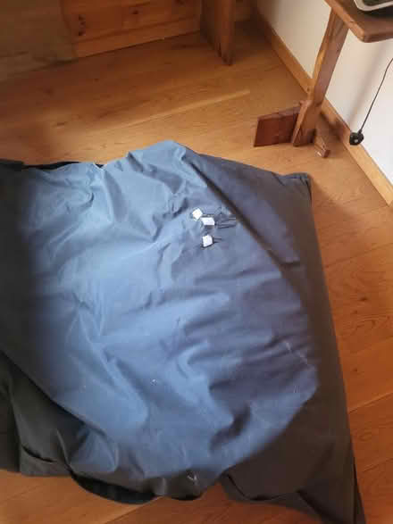 Photo of free Beanbag (Westport) #2