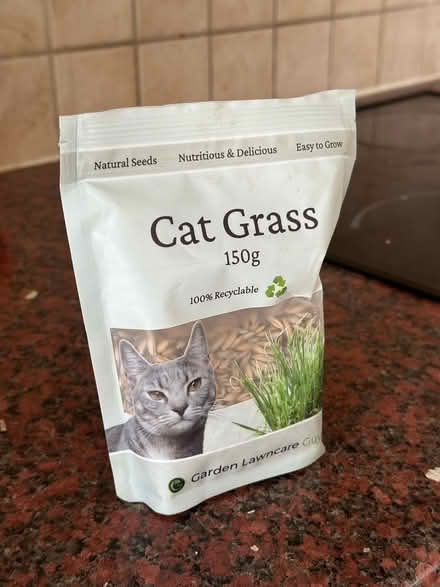 Photo of free 3/4 full cat grass seeds (Hanwell, Ealing) #1