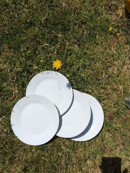 Photo of free Set of glasses and plates (Egham TW20) #1
