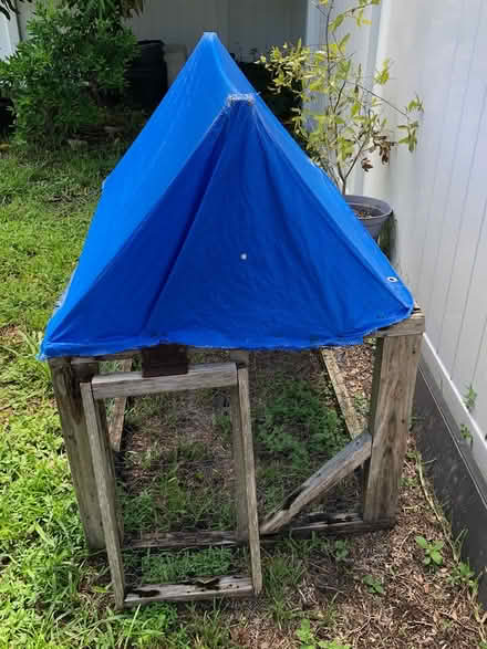 Photo of free Animal Cage (Palm Harbor) #2