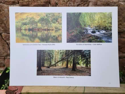 Photo of free 20 exhibition panels (West Kirby CH48) #1