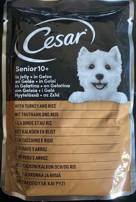 Photo of free Cesar Senior 10+ dog food pouches (Portsmouth PO2) #1