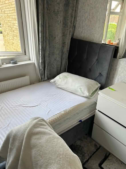 Photo of free Single divan bed (SM5 carshalton) #1