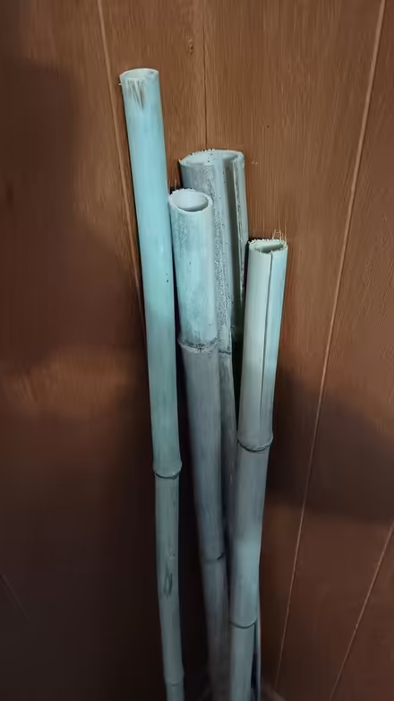 Photo of free Bamboo Sticks (College Park Woods) #2