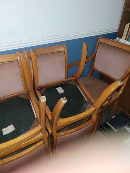 Photo of free Dining chairs (Sleapshyde AL4) #1