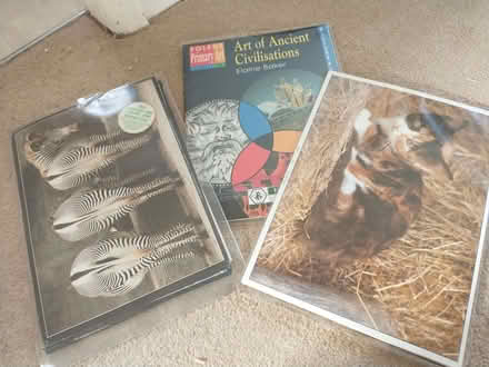 Photo of free Education Resources - Primary Age (Lakenham NR1) #1