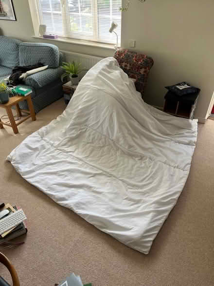Photo of free King Size Winter Duvet (Harrogate HG2) #1