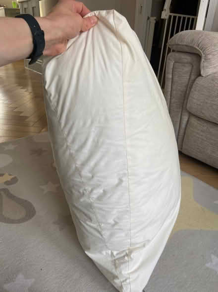 Photo of free Wedge pillow (70cm x 70cm x 20cm) (Lower Bevendean BN2) #2