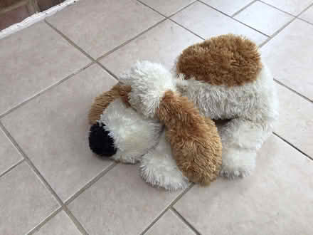 Photo of free Furry toy dog (Vinters Park) #1