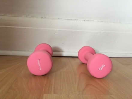 Photo of free 1kg weights (Govan, Glasgow) #1