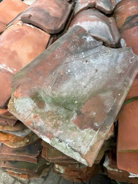 Photo of free 300 pan tiles (TS13 5LP) #4