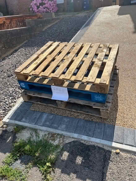 Photo of free Pallets (Kennington, OX1) #1