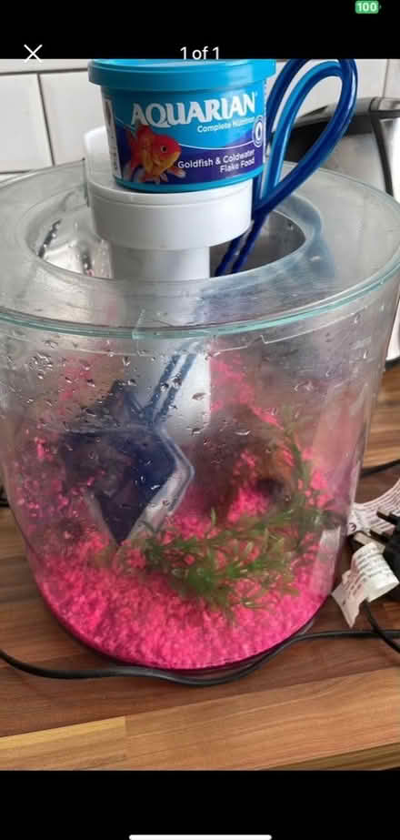 Photo of free Small fish tank (Dronfield S18) #1