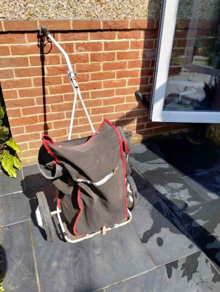 Photo of free Bike trailer/shopping cart thing (Hollingdean) #3