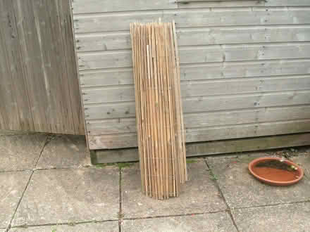 Photo of free Bamboo screening (Portslade by Sea BN3) #2