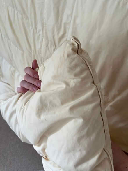 Photo of free Jonelle King Size Winter Duvet (Harrogate HG2) #3