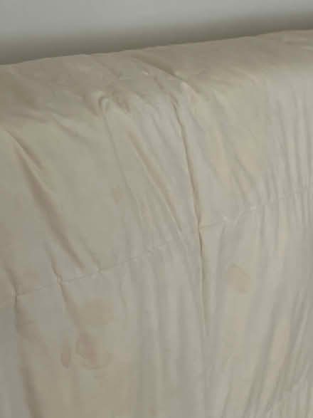 Photo of free Jonelle King Size Winter Duvet (Harrogate HG2) #4