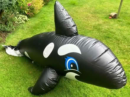 Photo of free Pool Inflatable - Large Whale Shape (Littleover DE23) #2