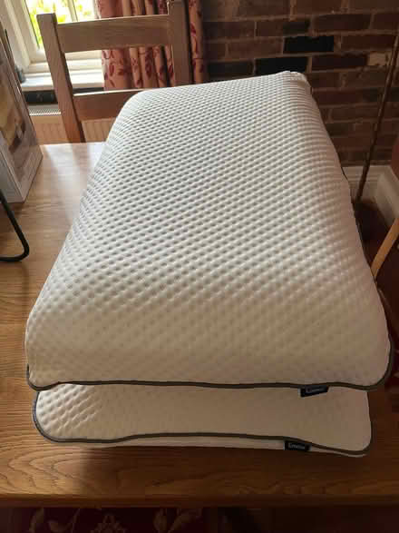 Photo of free 2 Emma pillows used once (Shipley RH13) #1