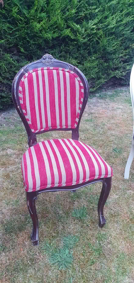 Photo of free Louis style chairs (Sunningdale SL5) #4