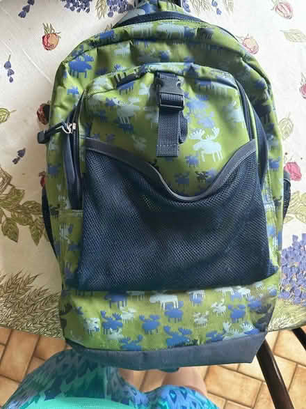 Photo of free Hanna Andersson backpack—little kid (Poughquag) #2