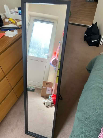 Photo of free Freestanding mirror (Dyke road BN1) #1