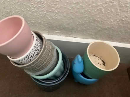 Photo of free Plant pots (Dyke road BN1) #1