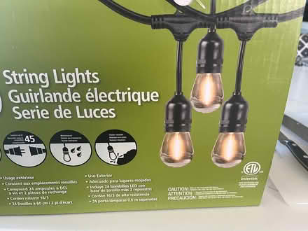 Photo of free Outdoor string lights (Wallingford) #2