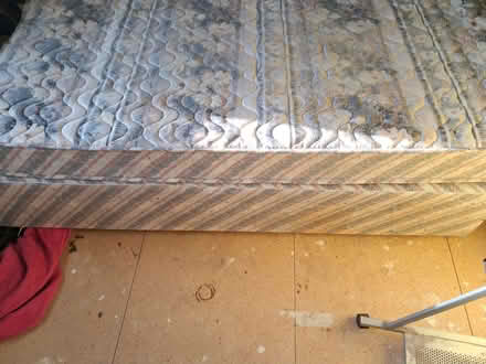 Photo of free Single bed and mattress (Hinckley LE10) #2