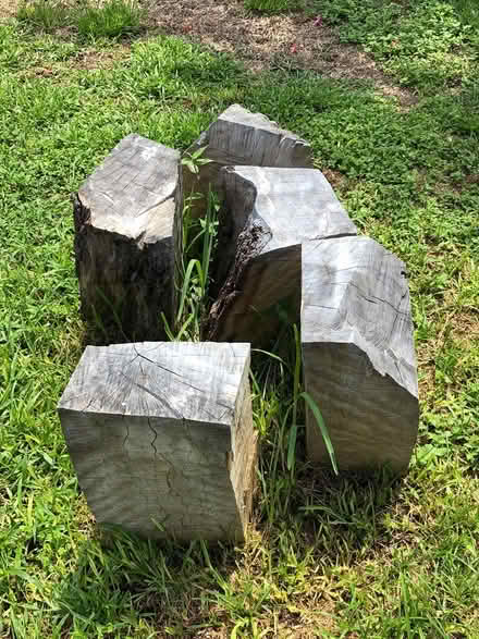 Photo of free Firewood (Palm Harbor) #1