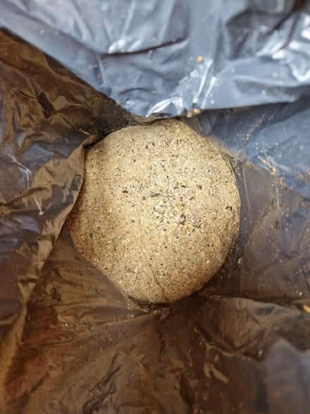 Photo of free 4 x bags of course sand (Wellington East District Ward TA21) #1