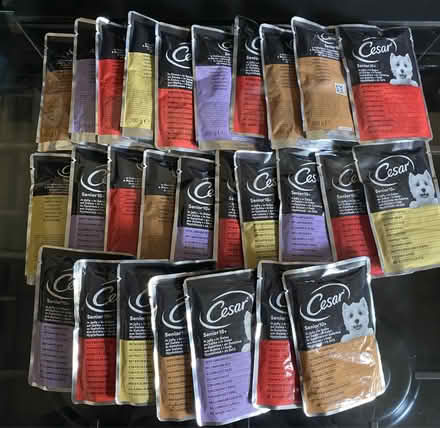 Photo of free Cesar Senior 10+ dog food pouches (Portsmouth PO2) #2