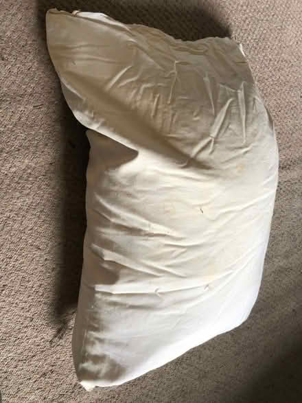 Photo of free Old feather pillow (Paulton) #1