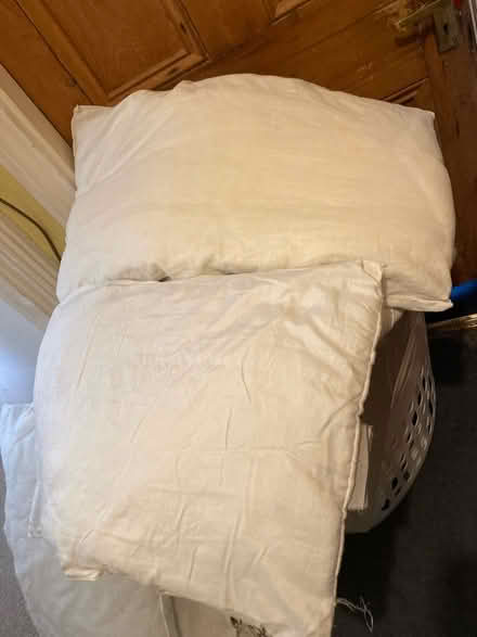 Photo of free 2 pillows (repurposing/ pet bed?) (E5 UpperClapton) #1