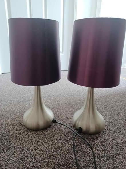 Photo of free Lamps (East Kilbride) #1
