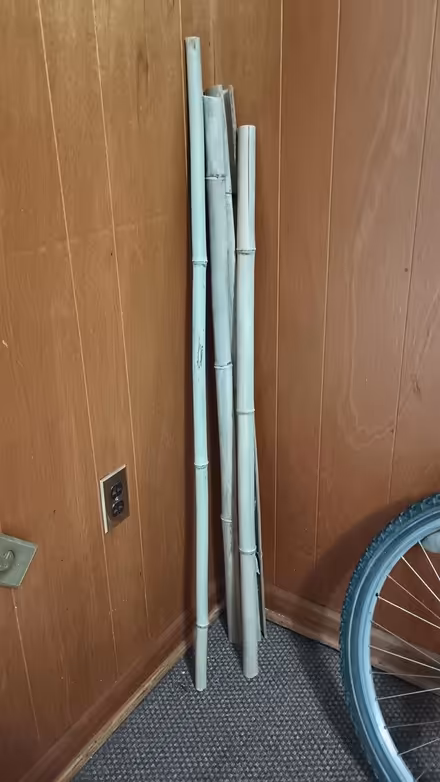 Photo of free Bamboo Sticks (College Park Woods) #1