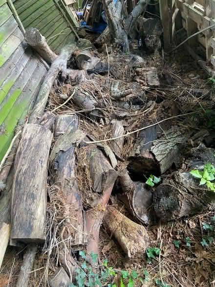 Photo of free Large bits of tree wood 4 burning (St Albans AL1) #1