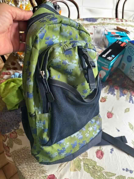 Photo of free Hanna Andersson backpack—little kid (Poughquag) #3