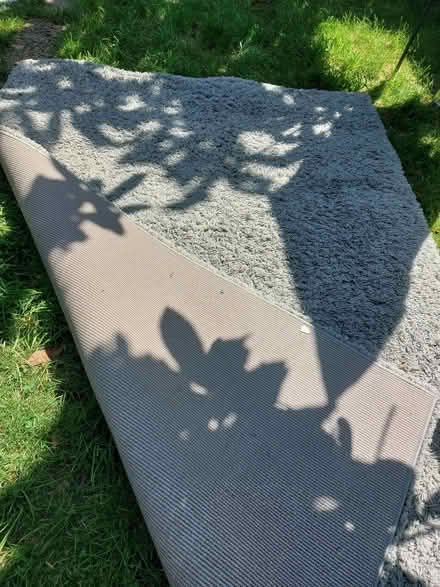 Photo of free Rug: light grey, soft high pile (New Malden KT3) #2