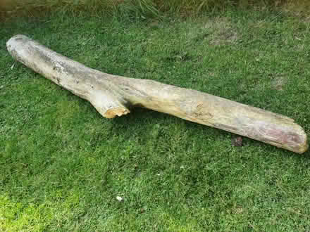 Photo of free drift wood pieces (Dublin sth, Shankill) #1