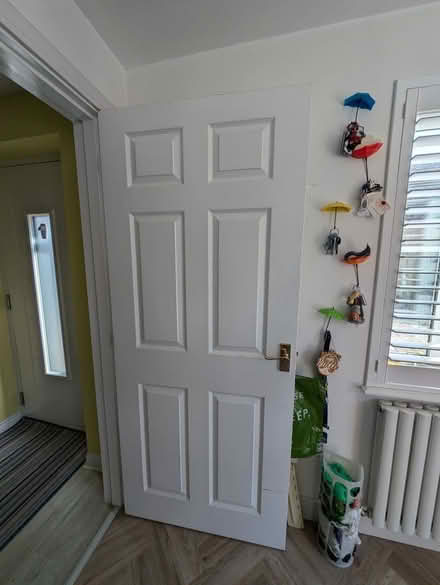 Photo of free Internal doors (Carterton OX18) #1