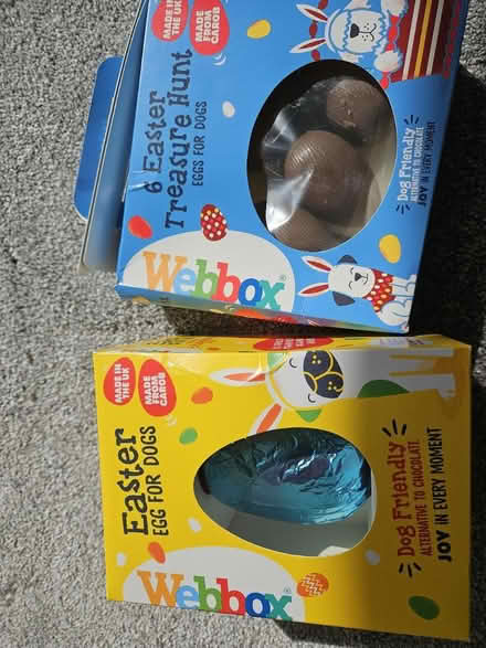 Photo of free Dog chocolate (Chappel Allerton LS7) #1