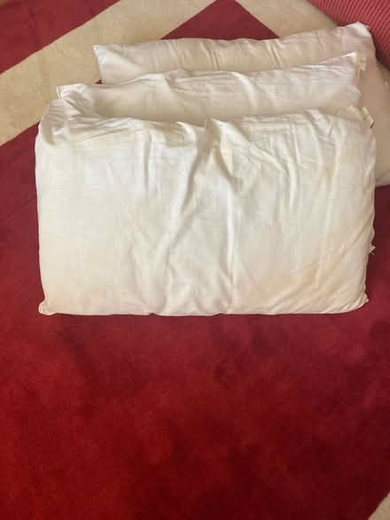 Photo of free Old pillows c3 (Crawley RH11) #1