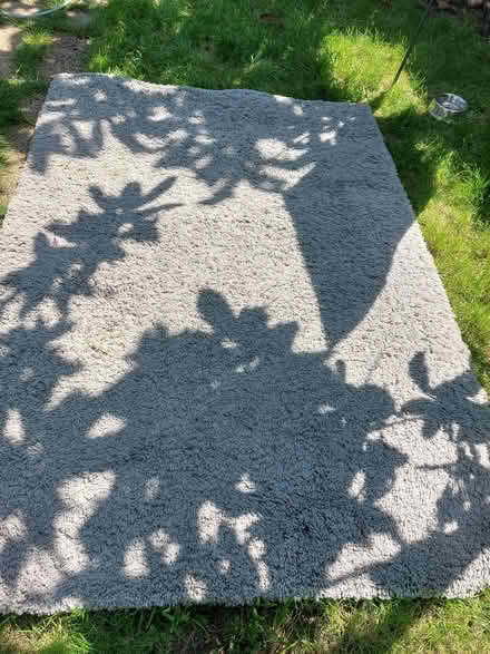 Photo of free Rug: light grey, soft high pile (New Malden KT3) #3
